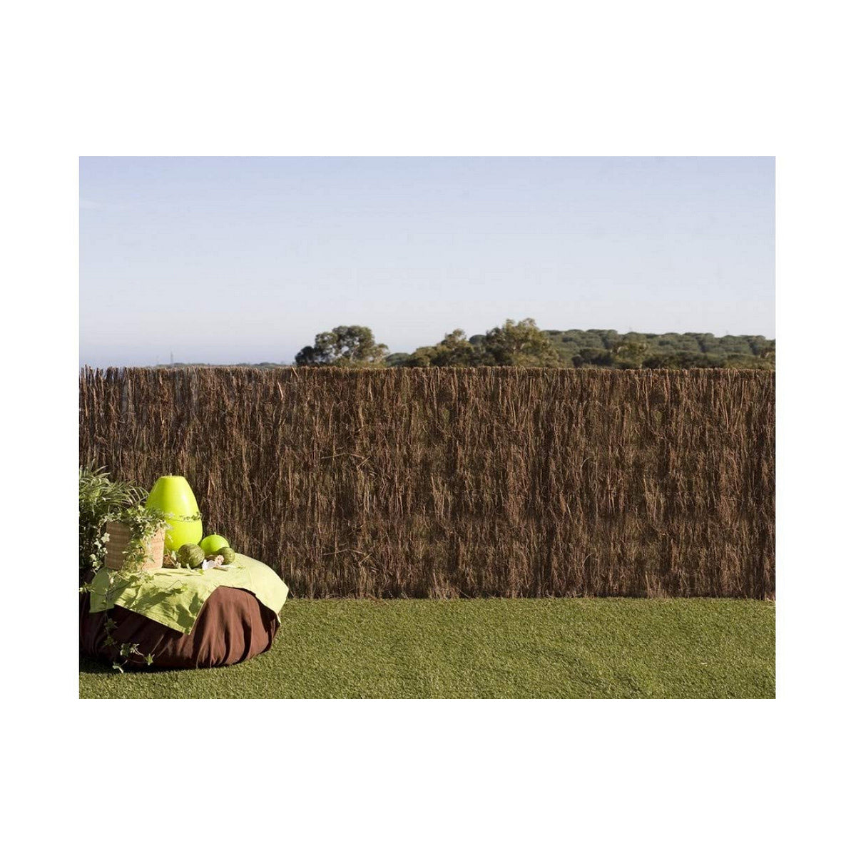 V10H61F9C79521BC9097FF2D1101BB4E2119R5282822P2