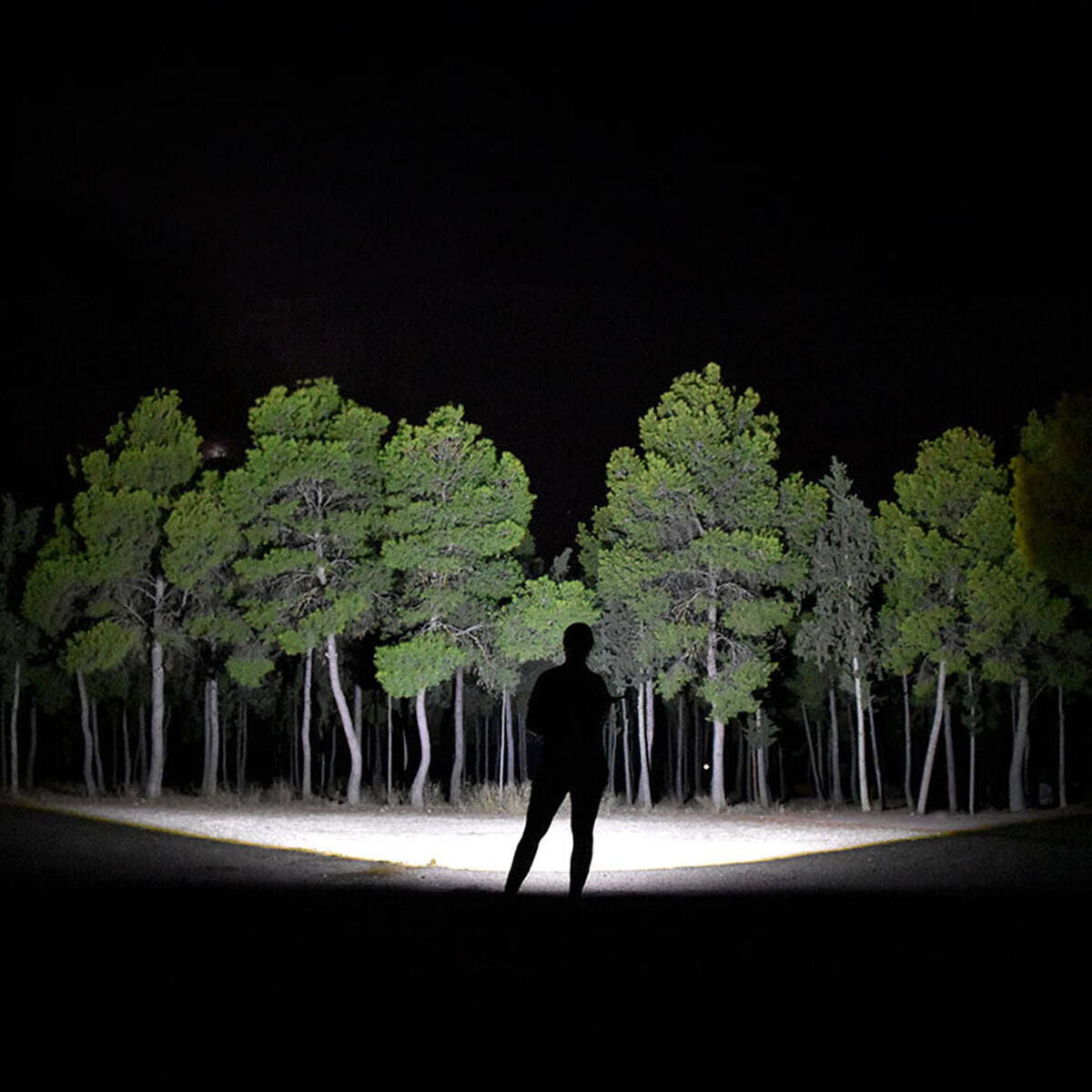 V5H29E165AF439FBBF026342346D2AD6FFAR5839326P10