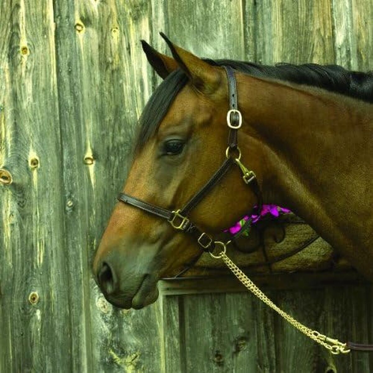 V4H1EB509C13D78C39209F50B151416369ER6185992P1