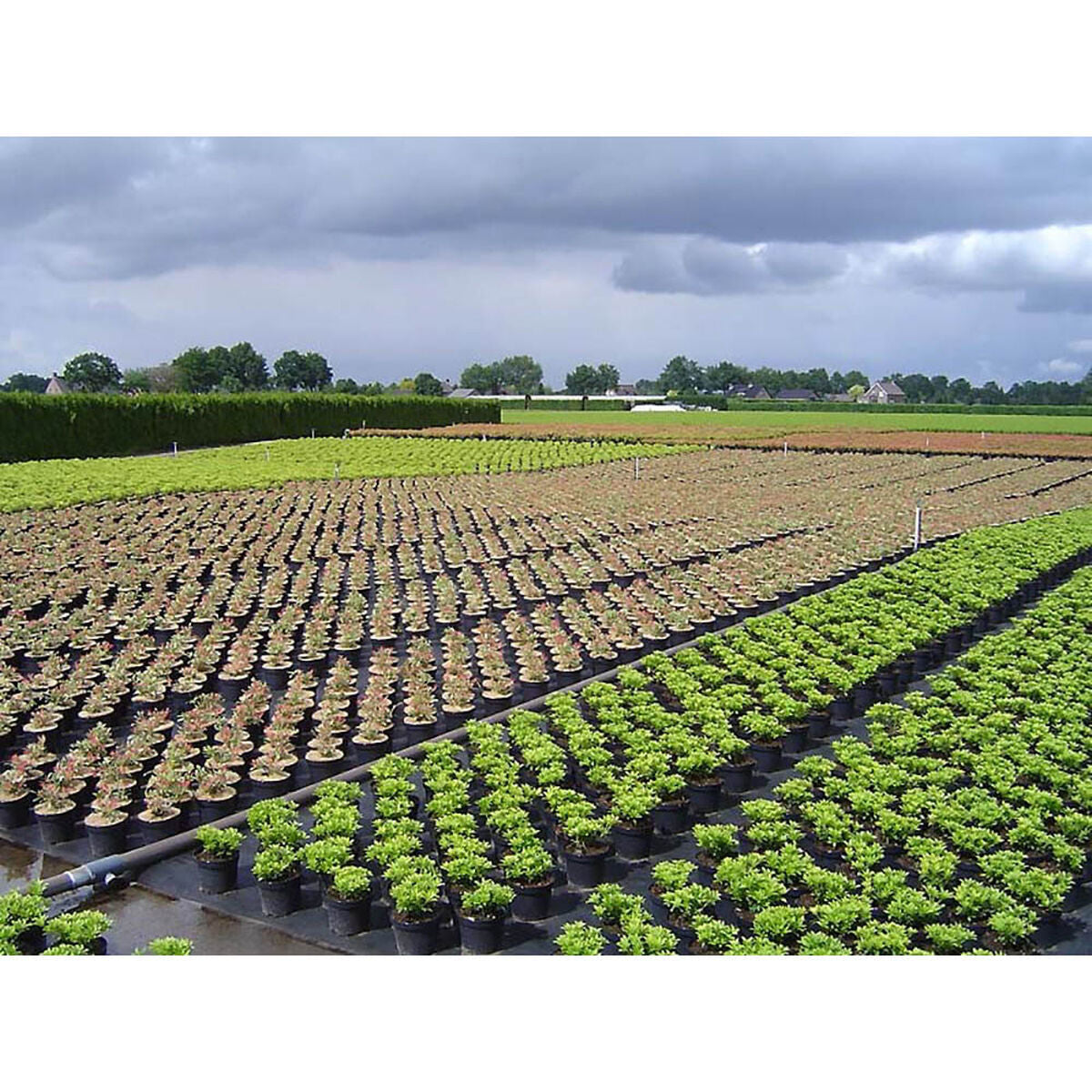 V4HF2A7838BEE270F0D3B4F2DBA3B647E8DR5820689P2