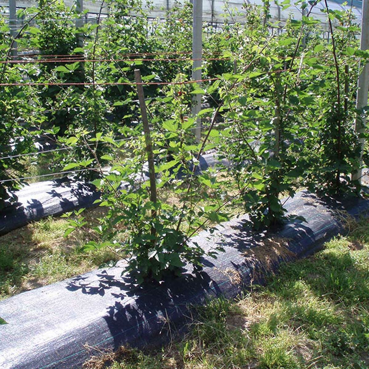 V4HC72F8237C5CB7827E4C9B946FBFE2820R5820686P2