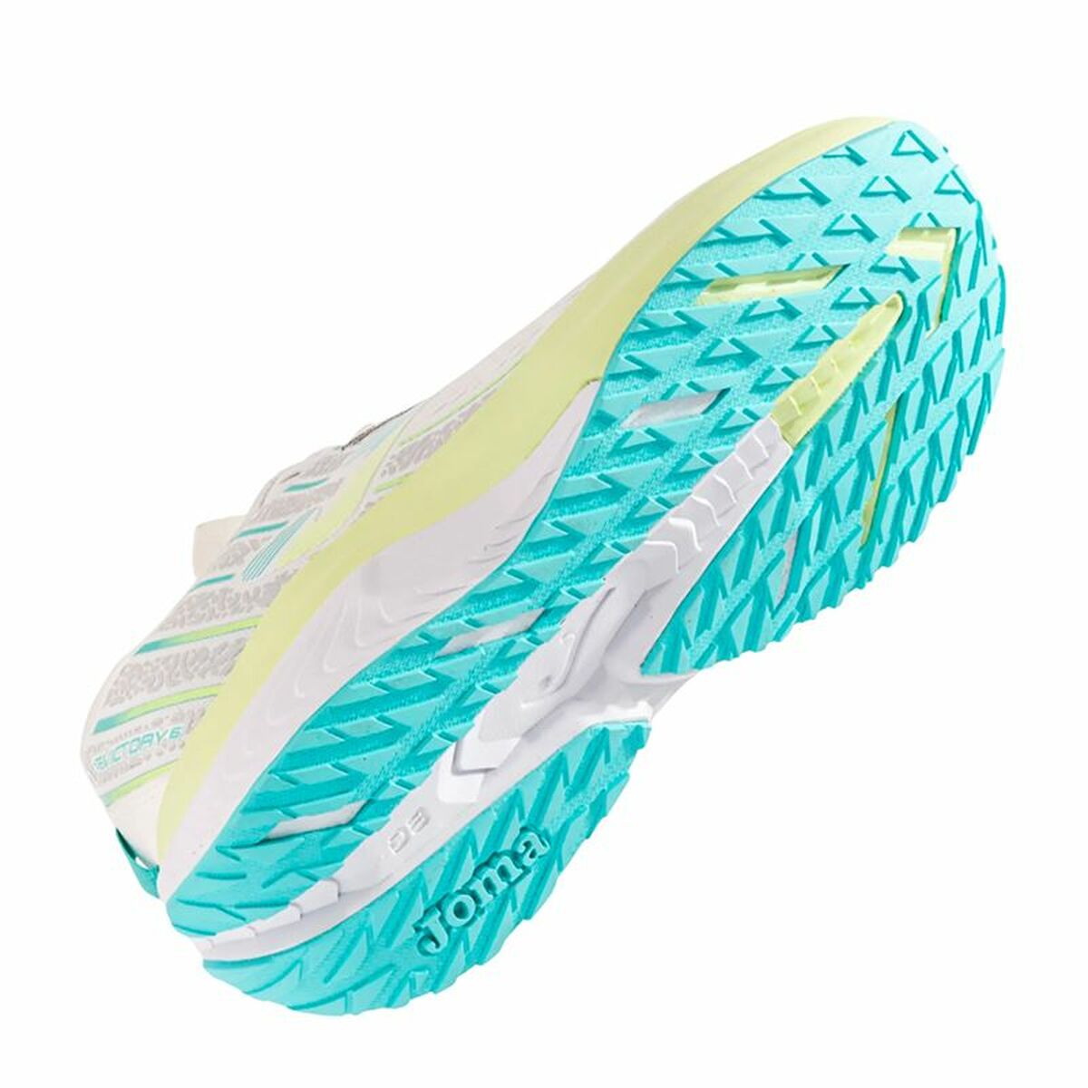 V4H8DD274BBC73F2E682BDFB93108B8102AR6073683P2