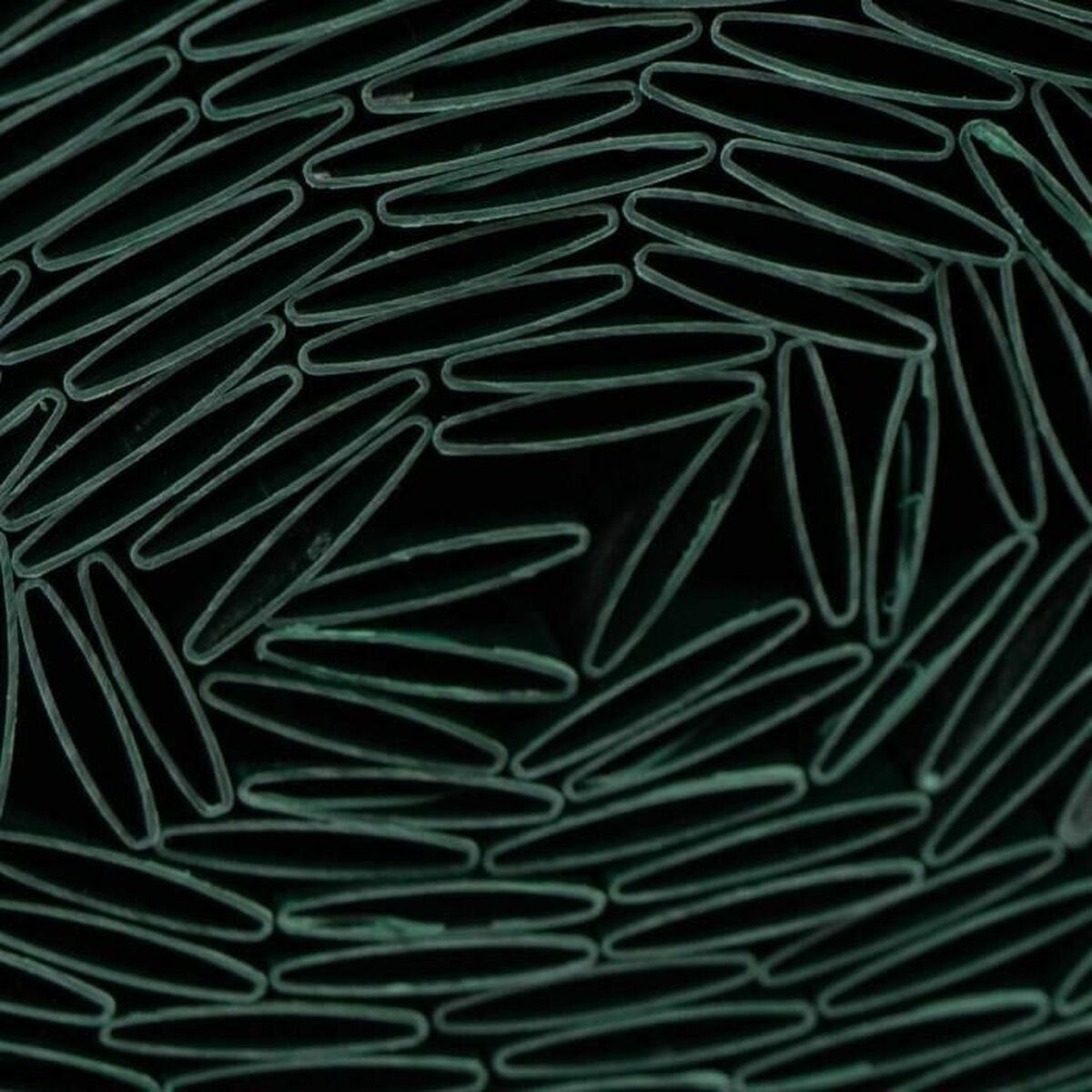 V5H31949CE8D206160C0FDBFCAEA3A4FCC1R6467261P2