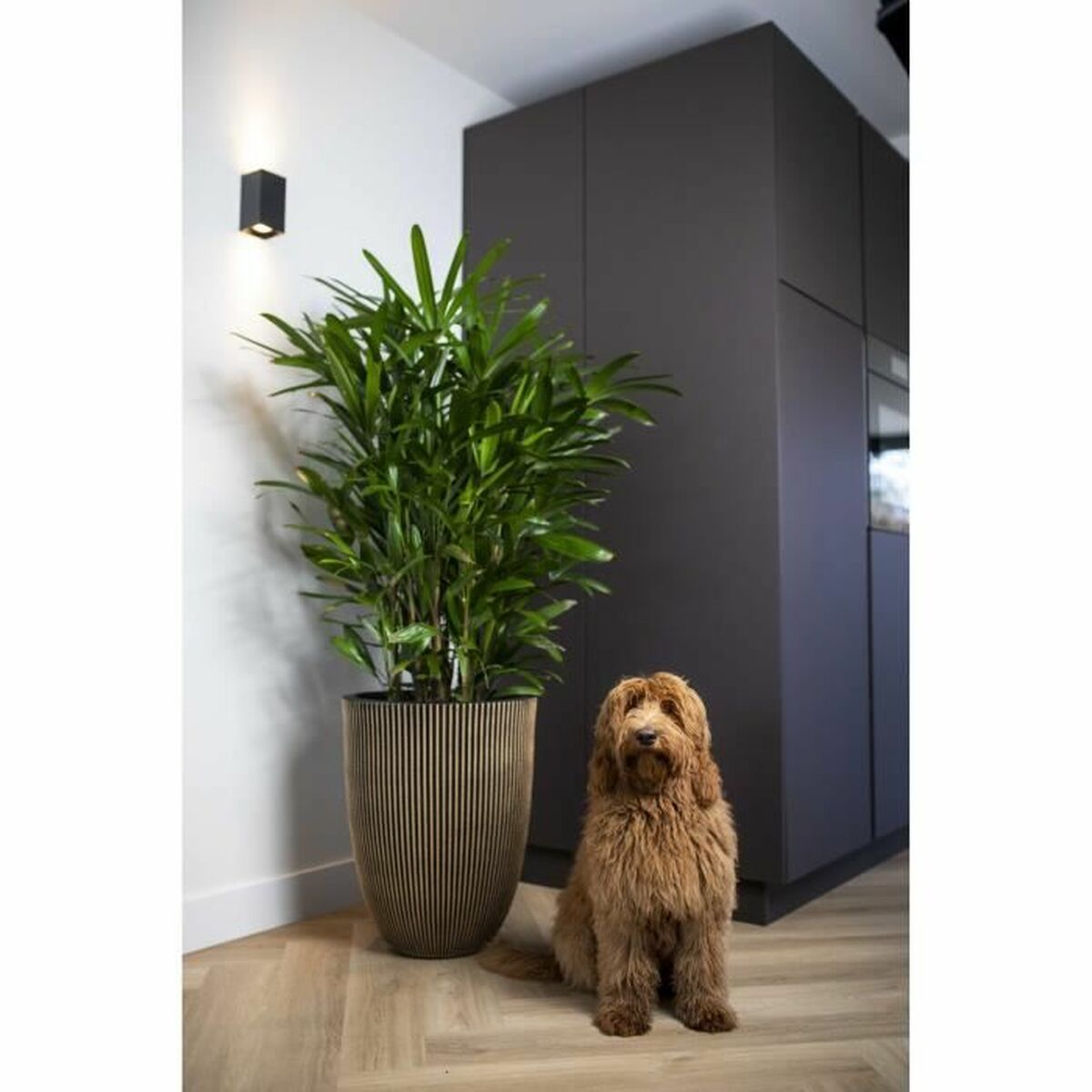 V6H276A9BD99D39DB06DFEB945BC0216466R7057445P3