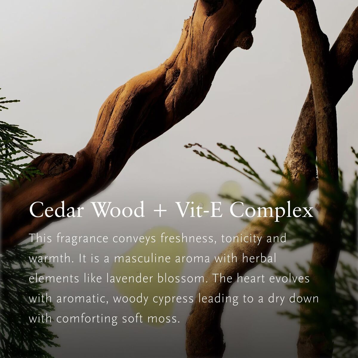 V3H2C8416C0648A14F6371C1D646EDE8BAAR7424992P3