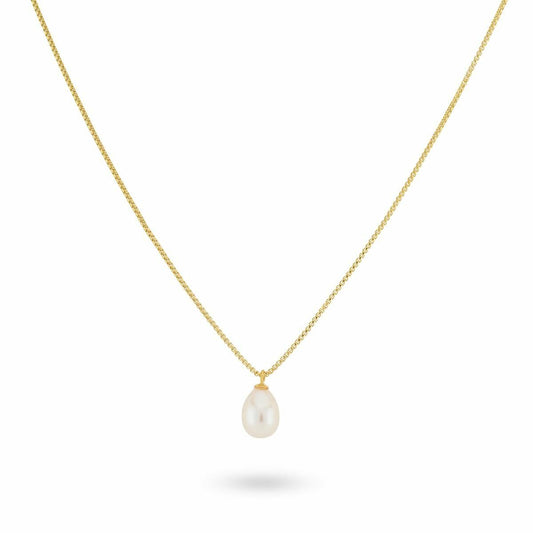 V4HAE802BD553567386A57E416B9388D94BR6186017P1