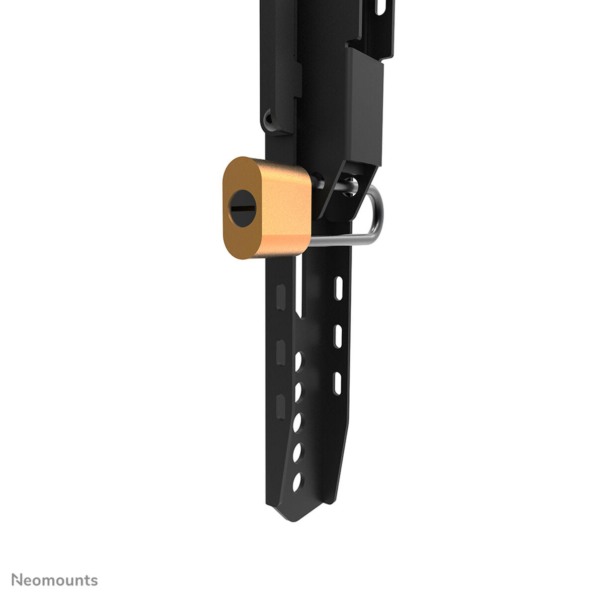 V5H296474E36B76A2E931B4184926FB3B94R5137759P5