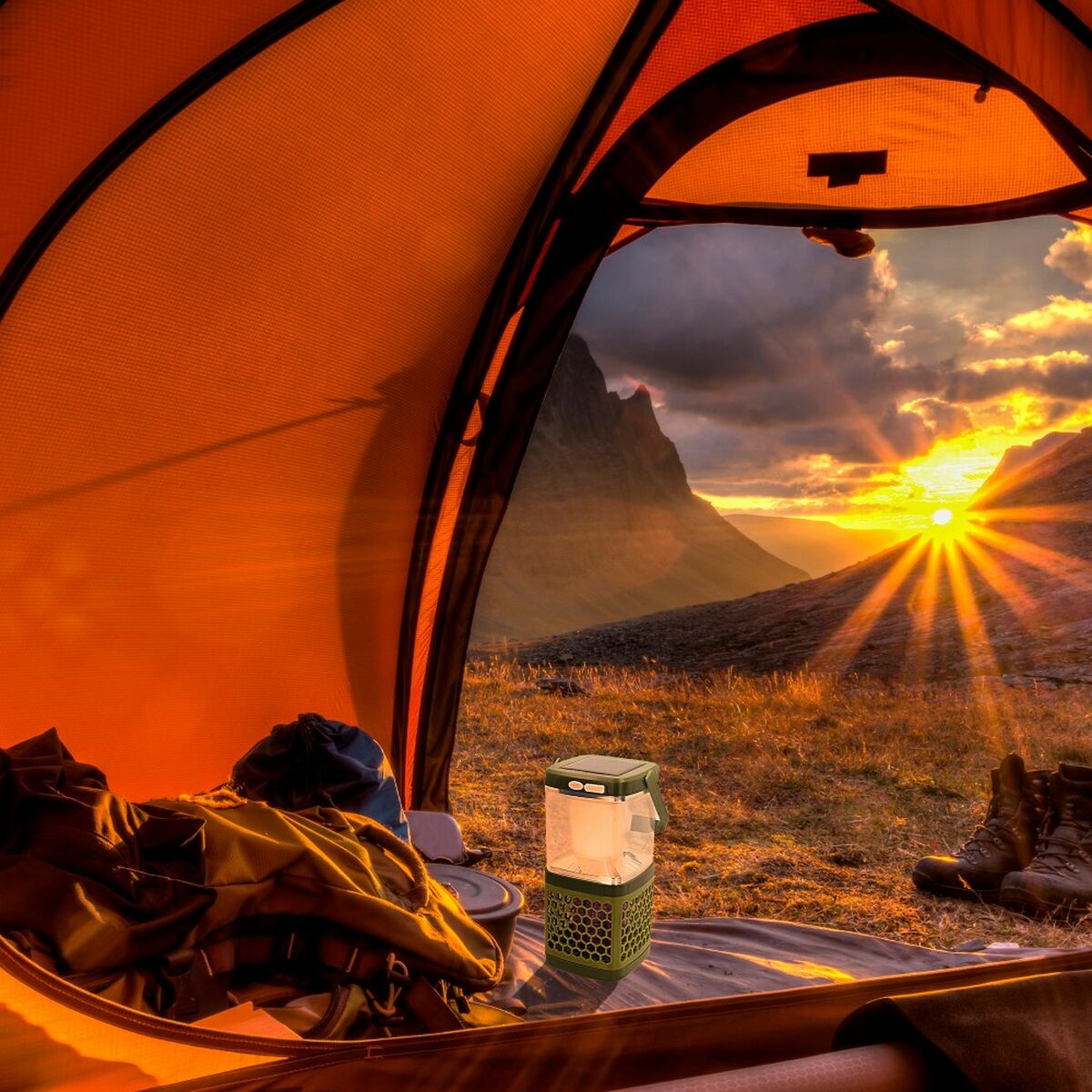 V8H197B4D343616CDFDD6A3394DB41D7E03R5419276P3