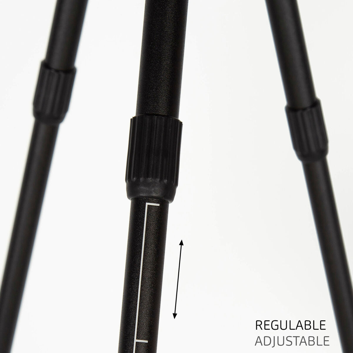 V4H1D0DBBEAE71A533ECE2E1F274C2C46A8R5649350P4