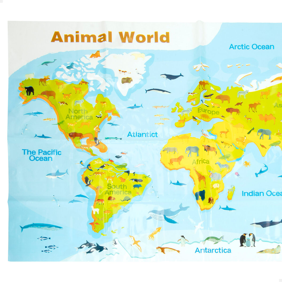 V2H7BE31D35BC5F0143878BDF9F2CD65B40R7514073P4